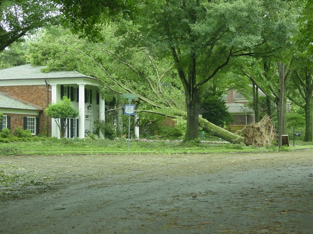 Storm