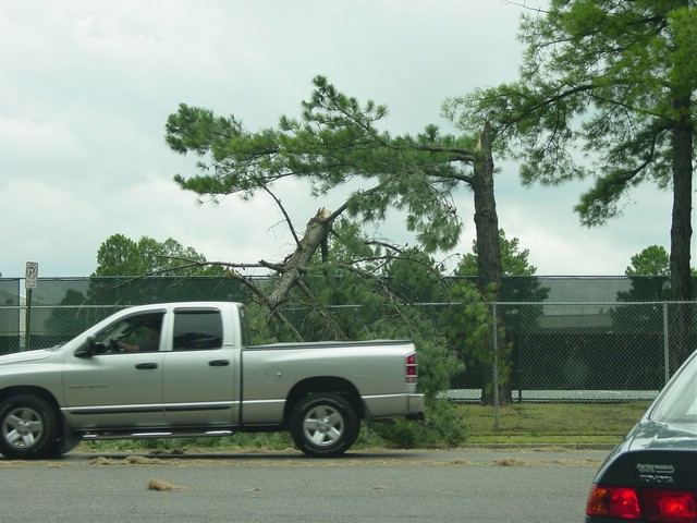 Storm