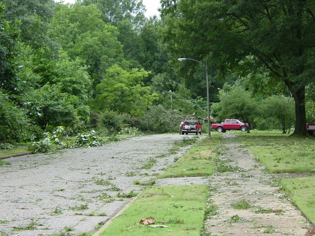 Storm