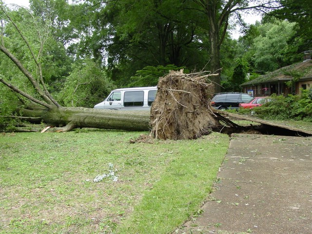 Storm