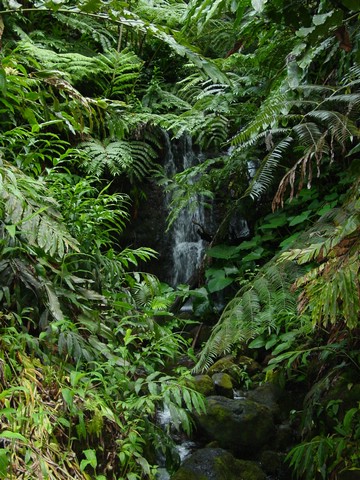 Hawaii